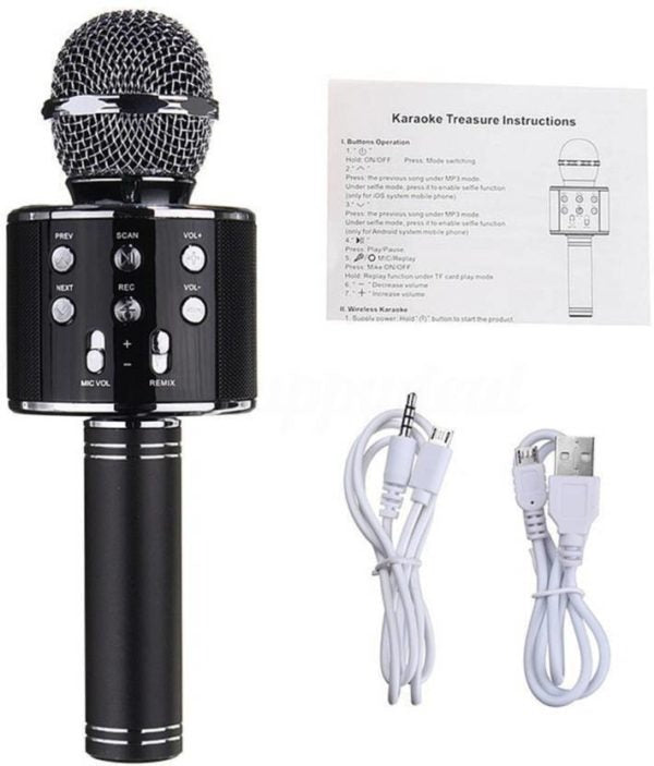 Livora Star Voice Karaoke Mic