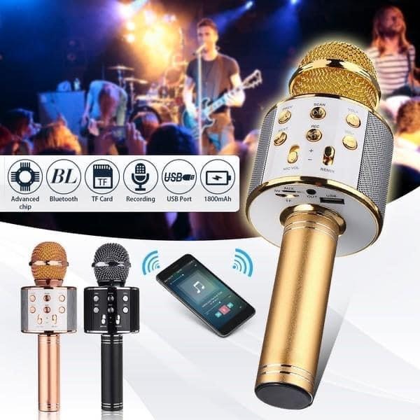 Livora Star Voice Karaoke Mic
