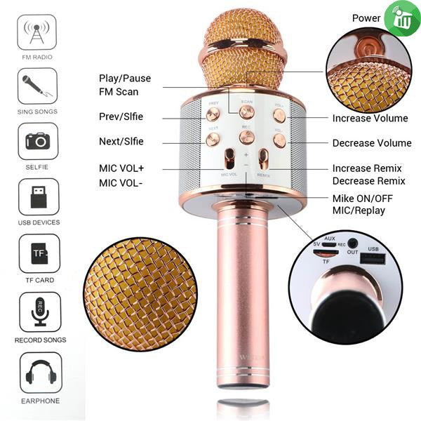 Livora Star Voice Karaoke Mic