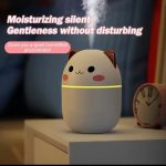 Livora Misty Glow Diffuser Aromatherapy at Home