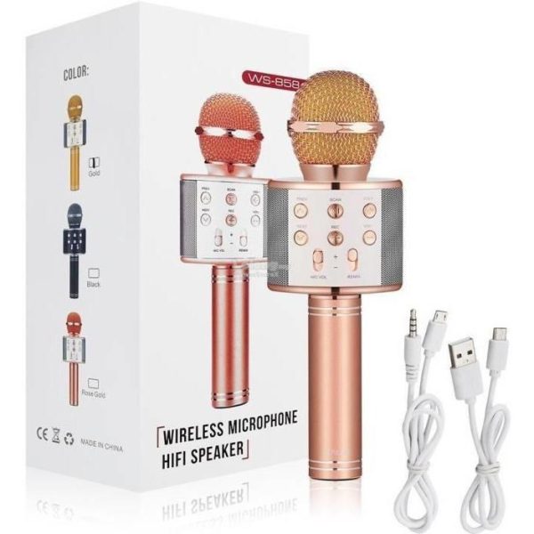 Livora Star Voice Karaoke Mic