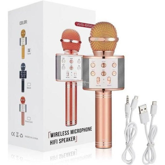 Livora Star Voice Karaoke Mic